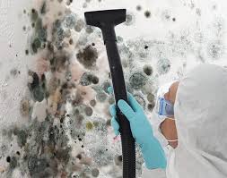 Environmental Consulting for Mold Prevention in Greenville, AL